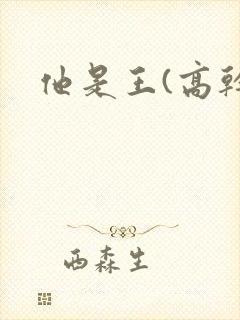 他是王(高干)
