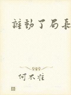 谁动了局长夫人