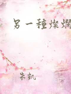 另一种灿烂生活