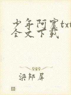 少年阿宾txt全文下载