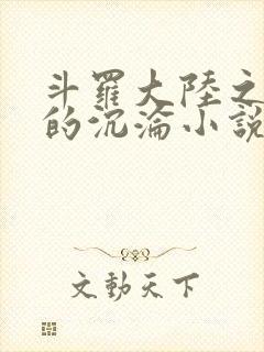 斗罗大陆之众女的沉沦小说