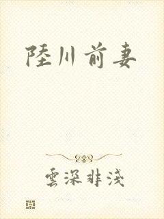 陆川前妻