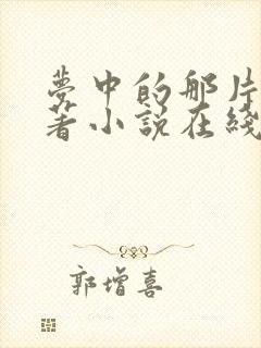 梦中的那片海原著小说在线阅读