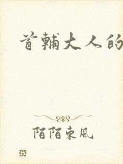 首辅大人的套路