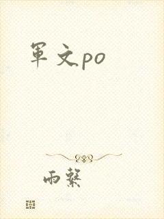 军文po