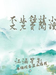 不止钟情小说全文免费阅读