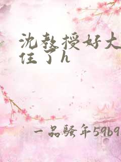 沈教授好大含不住了h