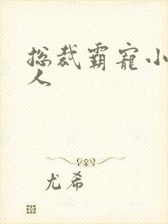 总裁霸宠小小女人