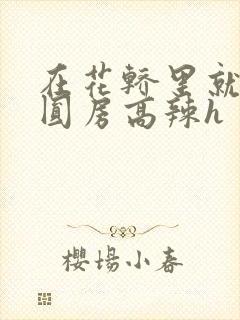 在花轿里就开始圆房高辣h