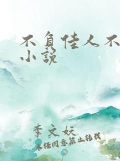 不负佳人不负卿小说