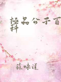 极品公子百度百科