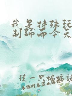 我是特殊玩具定制师而今天的客户