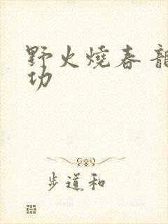 野火烧春 龙鸣功