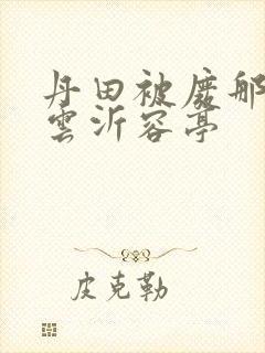 丹田被废那些年云沂容亭