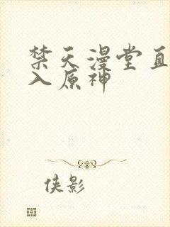 禁天漫堂直接进入原神