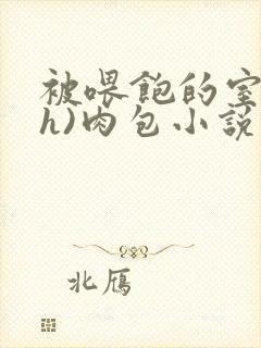 被喂饱的室友(h)肉包小说