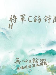将军C的舒服么H