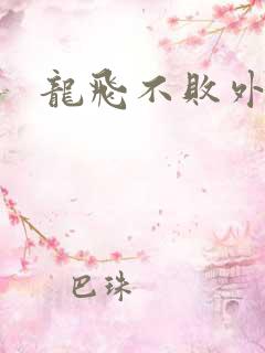 龙飞不败外传