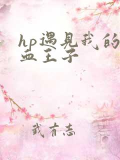 hp遇见我的混血王子