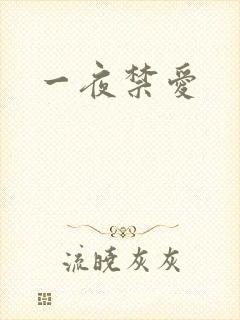 一夜禁爱
