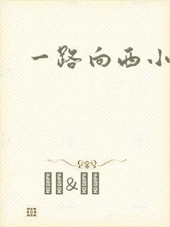 一路向西小说