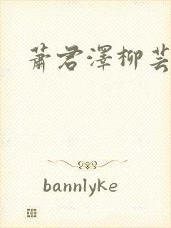 萧君泽柳芸小说