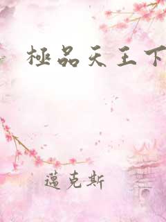 极品天王下载