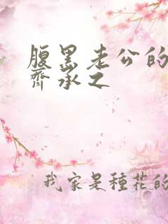 腹黑老公的宠妻齐承之