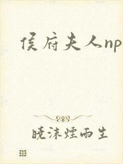 侯府夫人np