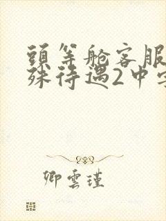 头等舱客服的特殊待遇2中字