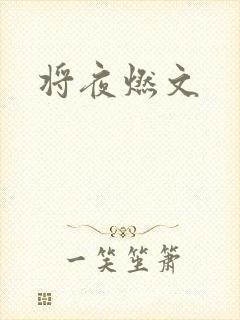 将夜燃文
