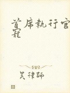 首席执行官的绝宠