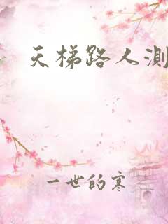 天梯路人测试器