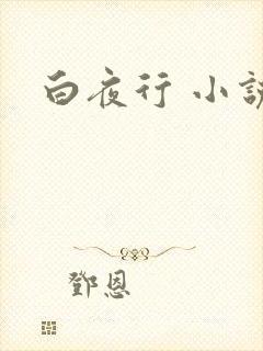白夜行 小说