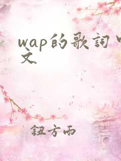 wap的歌词中文