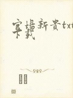 官场新贵txt下载