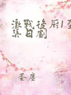 激战后厨1至5集日剧