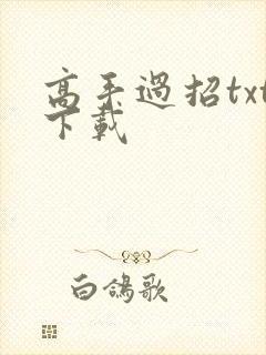高手过招txt下载
