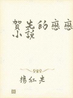 贺先的恋恋不忘小说