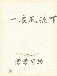一夜风流下载