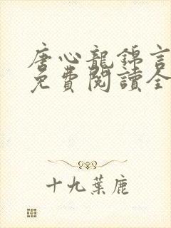 唐心龙锦言小说免费阅读全文