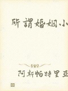 所谓婚姻小说