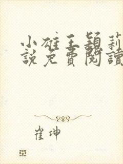 小雄王颖莉的小说免费阅读全文