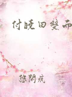 付晓田双面间谍