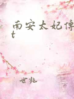 南安太妃传txt
