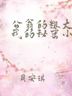 公翁的粗大放进我的秘密小说