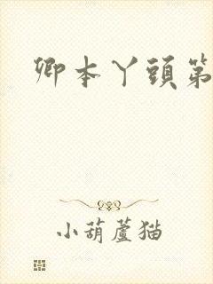 卿本丫头第二部