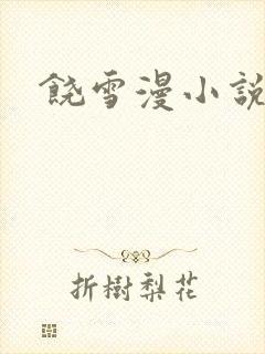 饶雪漫小说下载