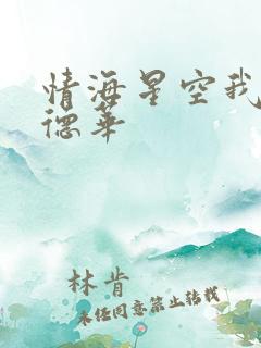 情海星空我与刘德华