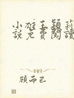 小雄王颖莉的小说免费阅读全文